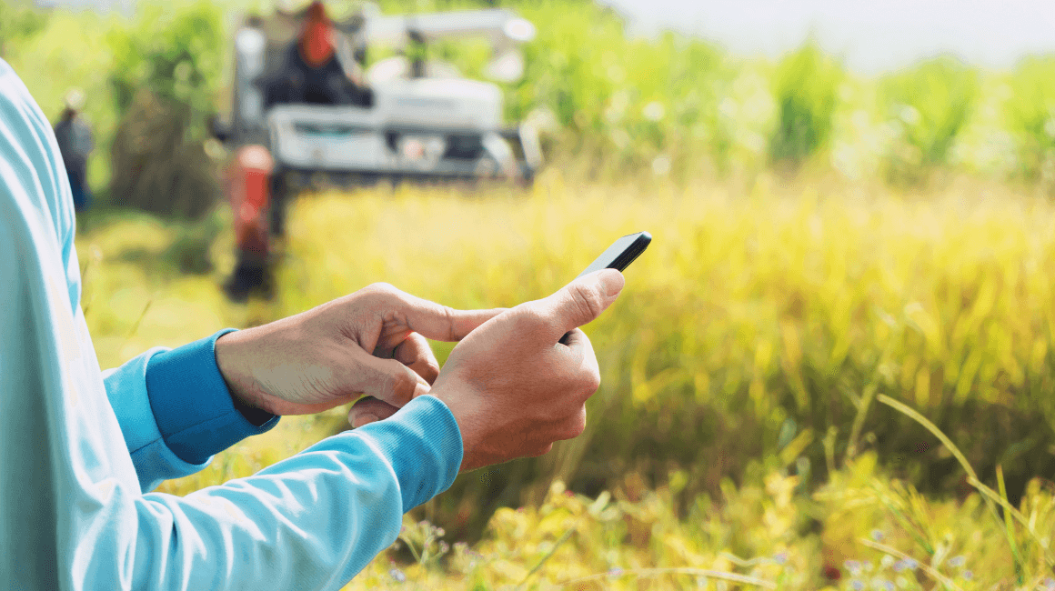 Rolnik w polu korzystający ze smartfona, w tle maszyna rolnicza i dojrzałe zboże